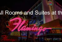 All Rooms and Suites at the Flamingo Hotel Las Vegas 2020