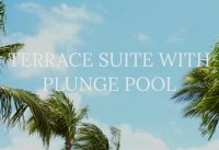 Excellence El Carmen Suites: Terrace Suite with Plunge Pool